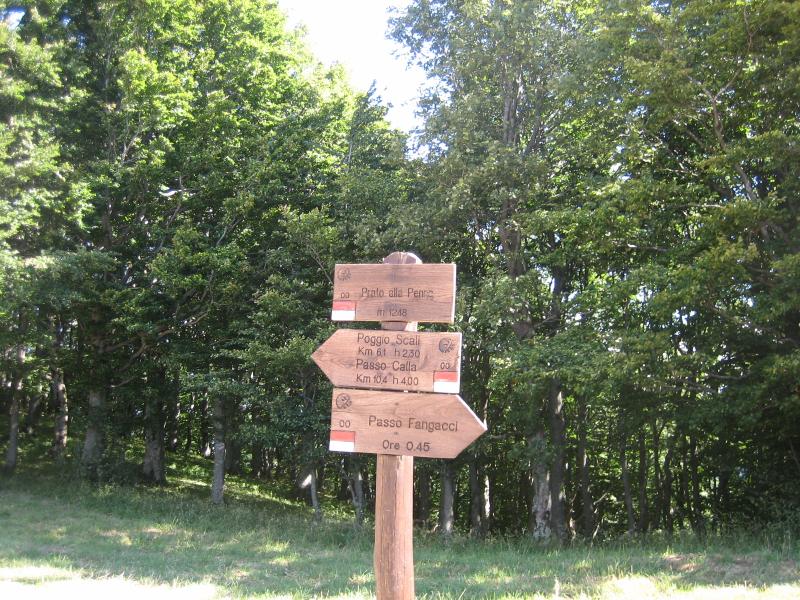 IMG_0020.JPG.jpg